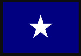 Bonnie Blue 12″x18″ Grave Marker Stick Flag ROUGH TEX® 100D 30″ Wooden Staff