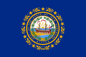 New Hampshire Flag